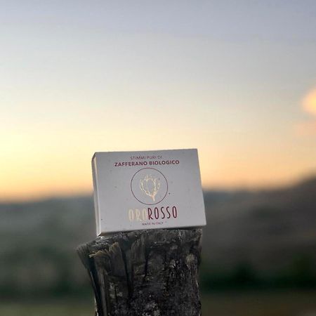 Agriturismo La Terrazza Sul Mangia 锡耶纳 外观 照片