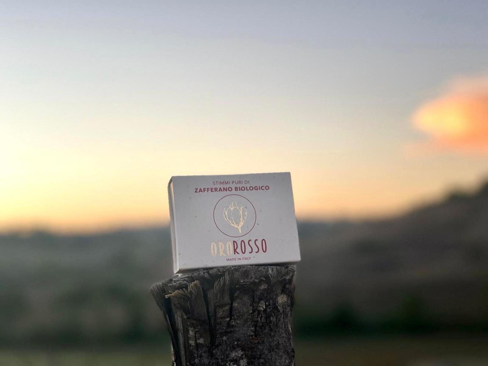 Agriturismo La Terrazza Sul Mangia 锡耶纳 外观 照片