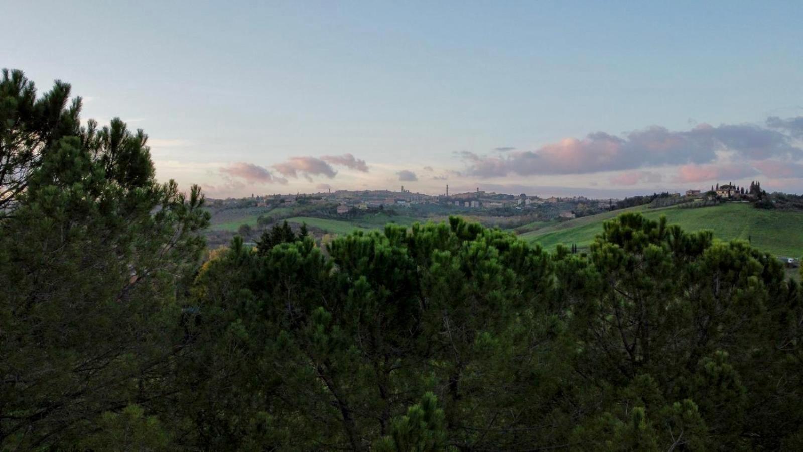 Agriturismo La Terrazza Sul Mangia 锡耶纳 外观 照片