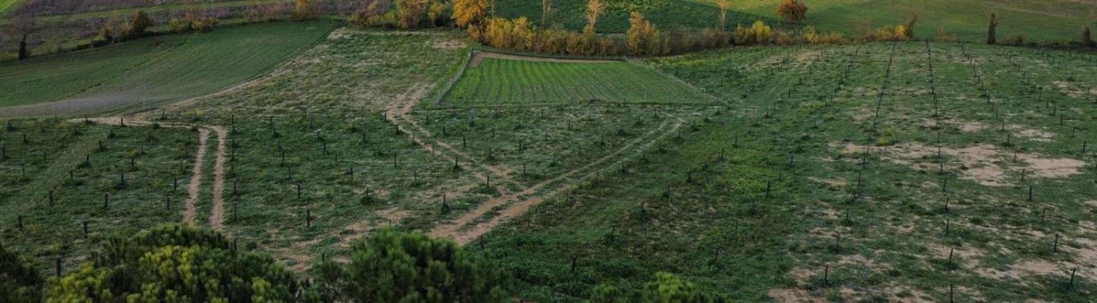 Agriturismo La Terrazza Sul Mangia 锡耶纳 外观 照片