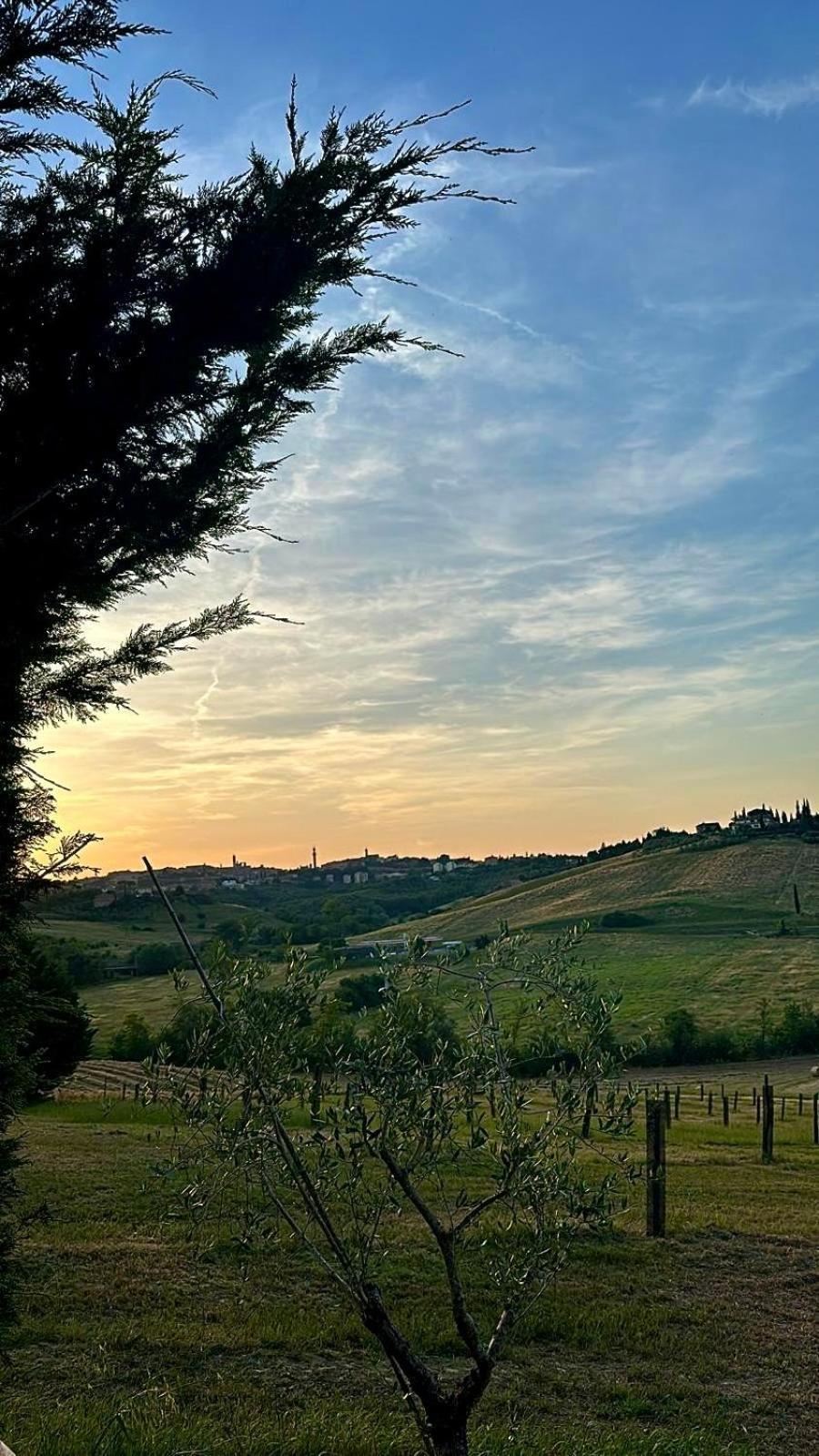 Agriturismo La Terrazza Sul Mangia 锡耶纳 外观 照片