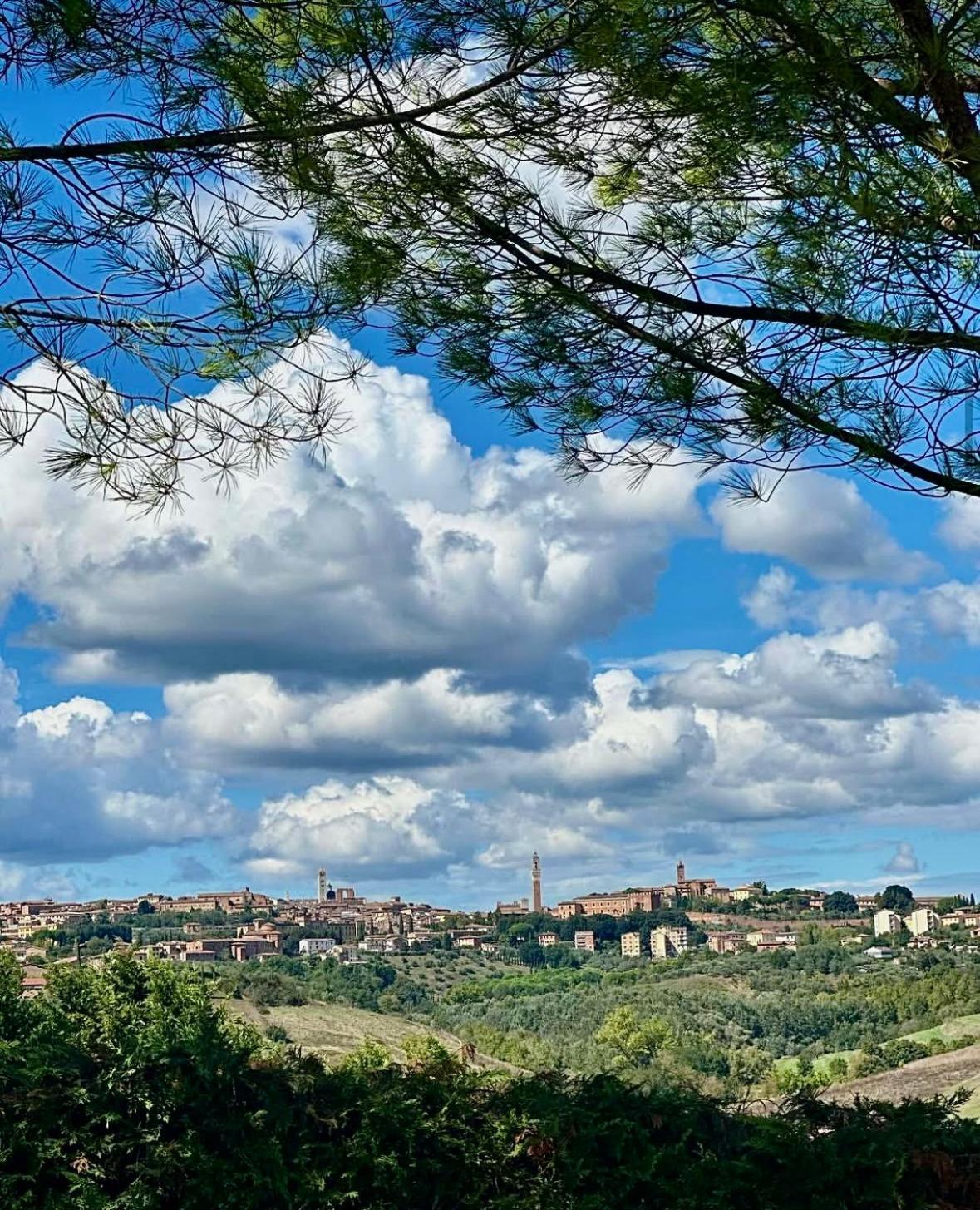 Agriturismo La Terrazza Sul Mangia 锡耶纳 外观 照片